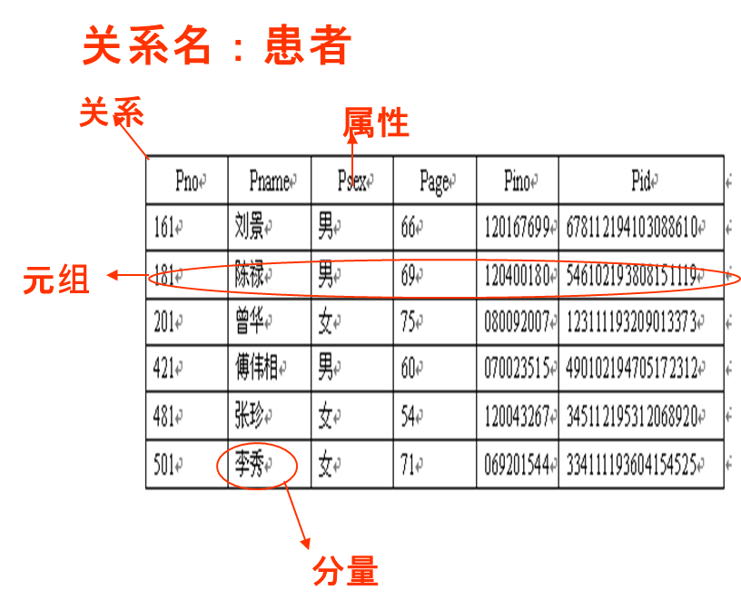 image-20240615102150066